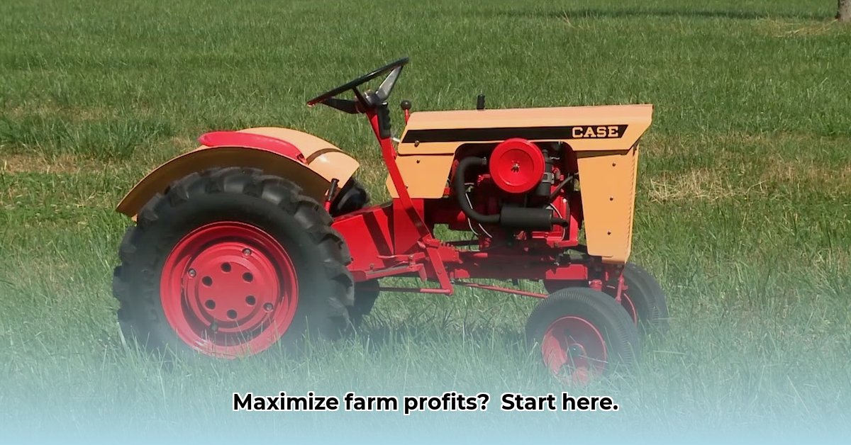 case-ih-garden-tractors